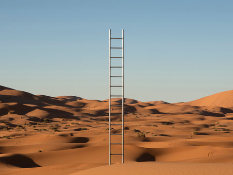 L’ÉCHELLE, Sahara, 10H00, November 2023.