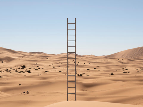 L’ÉCHELLE, Sahara, 12H12, November 2023.